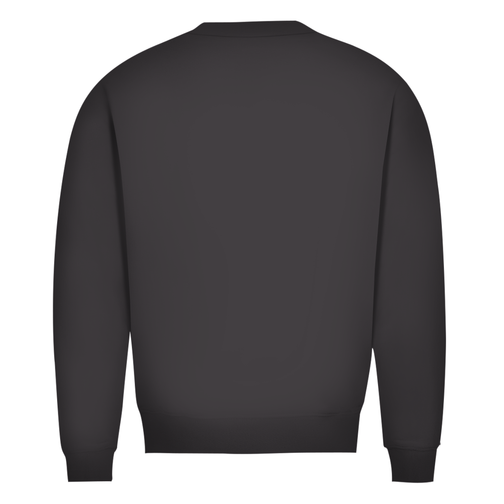 Herren Premium Bio Sweatshirt DANZR Logo Groß