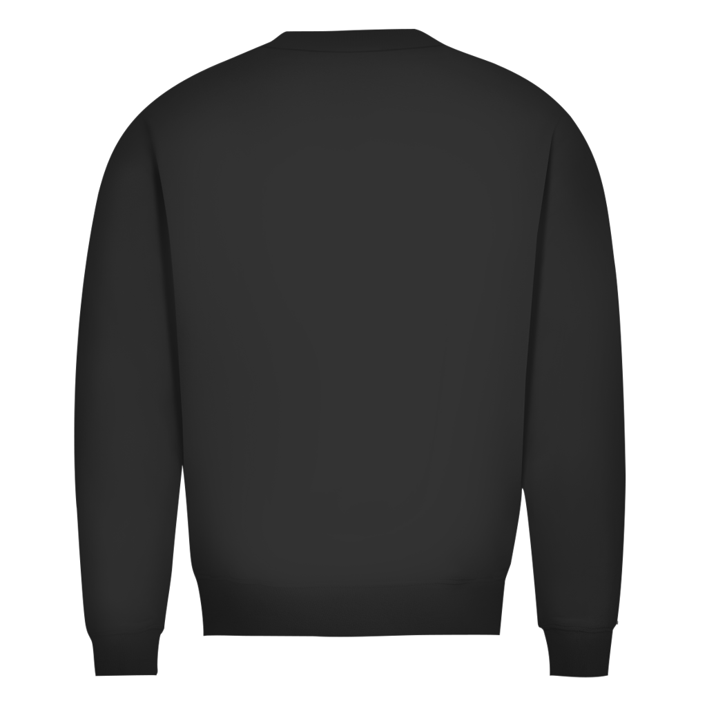 Herren Premium Bio Sweatshirt DANZR Logo Groß