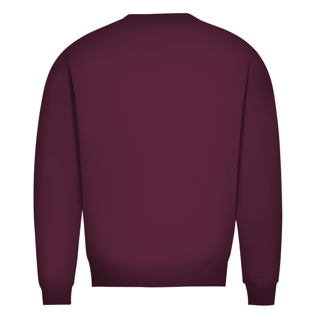 Herren Premium Bio Sweatshirt DANZR Logo Groß