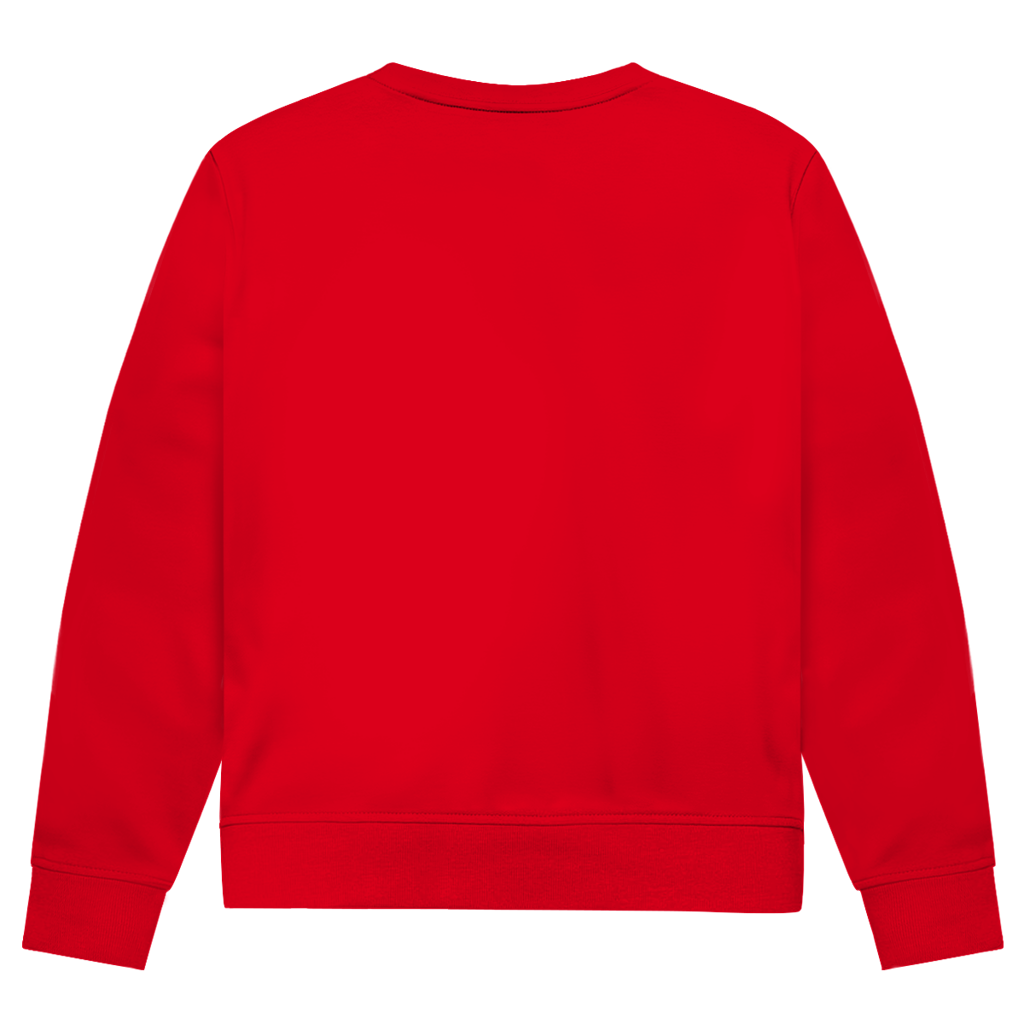 Herren Premium Bio Sweatshirt DANZR Logo Groß